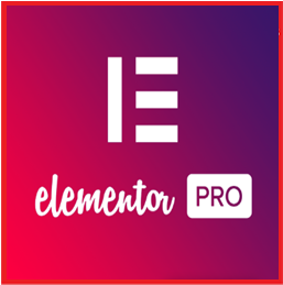 Elementor Pro v3.19.2 Crack + License Key + Keygen Download [2024]