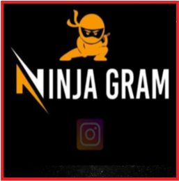Ninjagram v10.2.3 for PC Crack + License Key + Keygen Download [2024]
