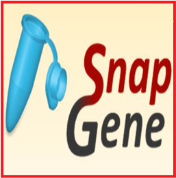 SnapGene 7.3.3 Crack + License Key + Keygen Download [2024]